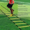 Agility Training Ladder