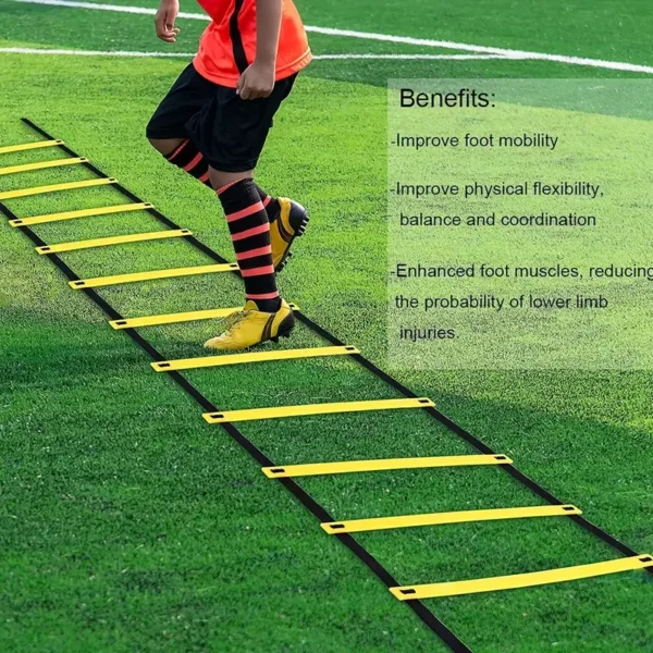 Agility Training Ladder