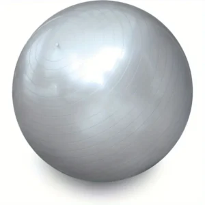 Gray Yoga Balance Ball with Air Pump