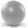 Gray Yoga Balance Ball with Air Pump