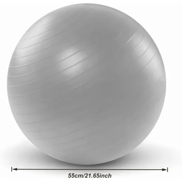 Gray Yoga Balance Ball with Air Pump