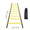 Agility Training Ladder